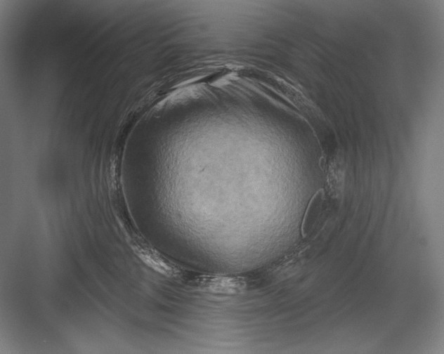 X0000082960330200702152312