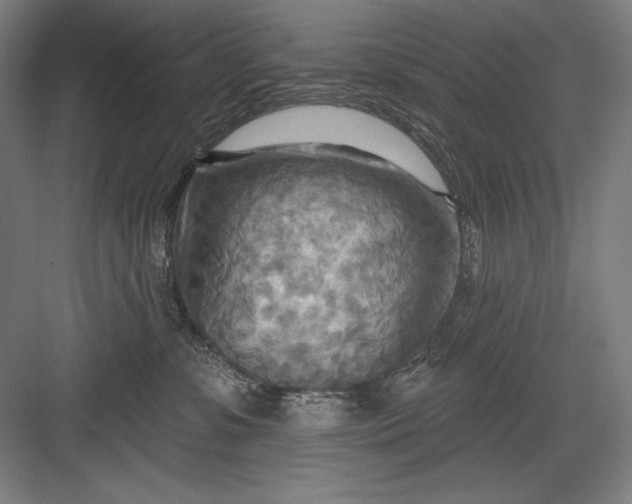 X0000082960331200702152312