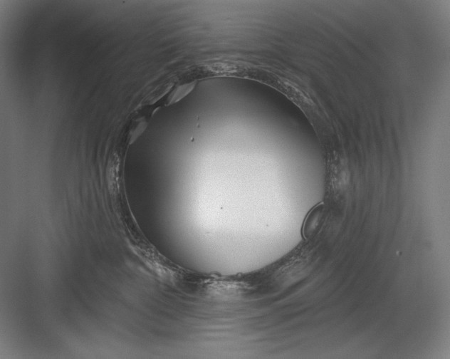 X0000082960332200702152312