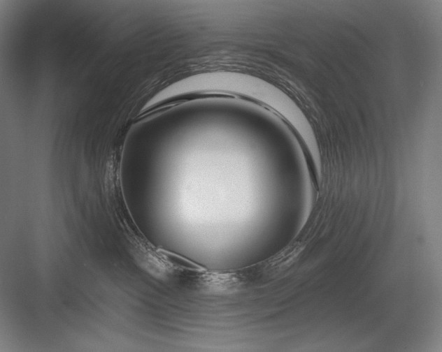 X0000082960333200702152312