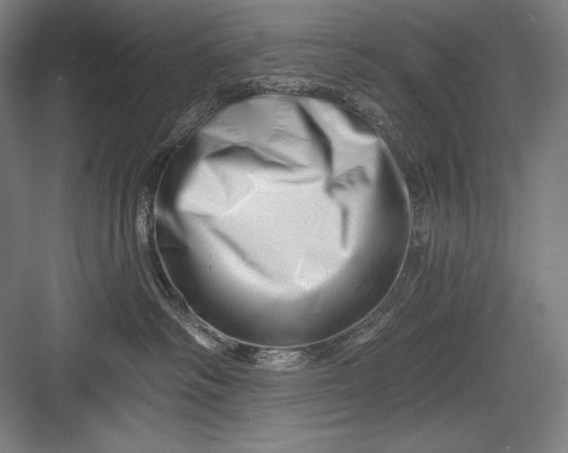 X0000082960334200702152312