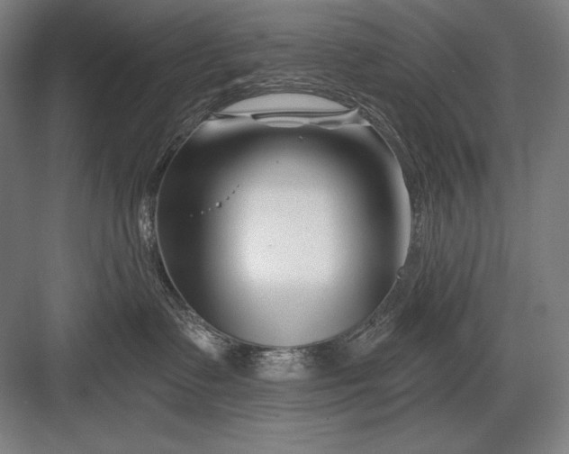 X0000082960335200702152312