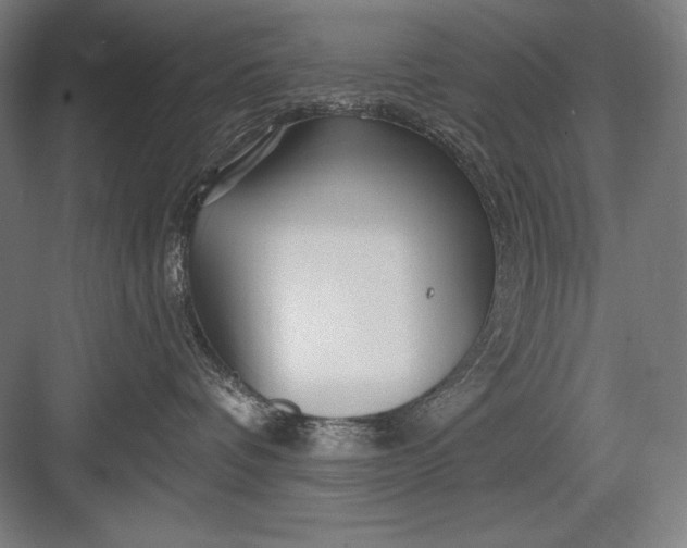 X0000082960336200702152312