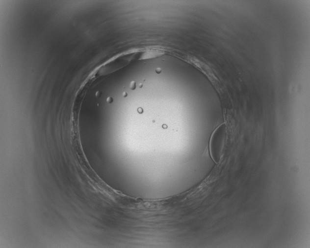 X0000082960338200702152311