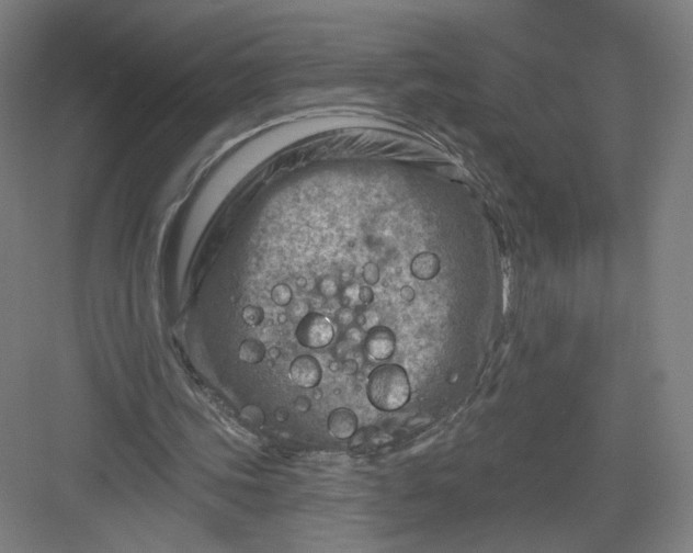 X0000082960339200702152311