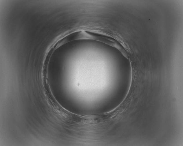 X0000082960340200702152311