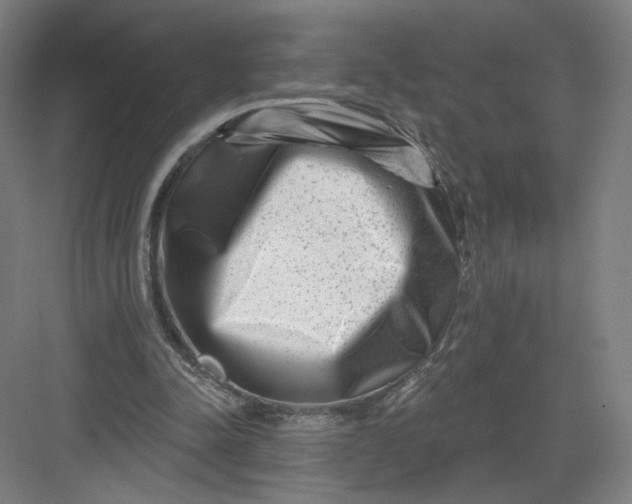 X0000082960342200702152311