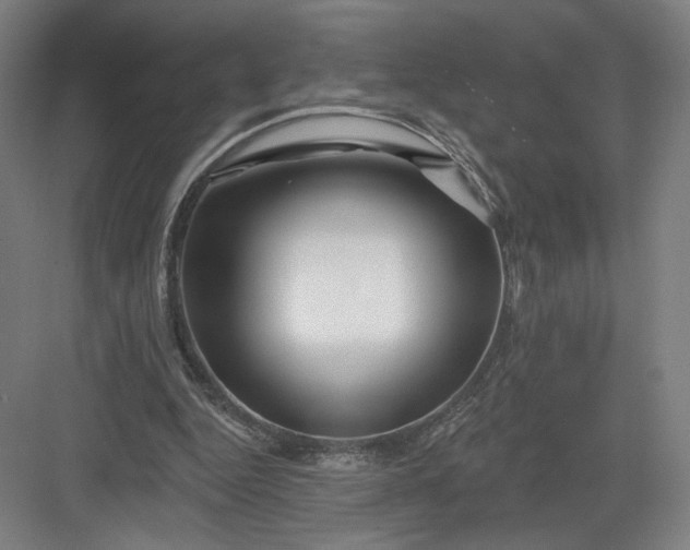 X0000082960344200702152311