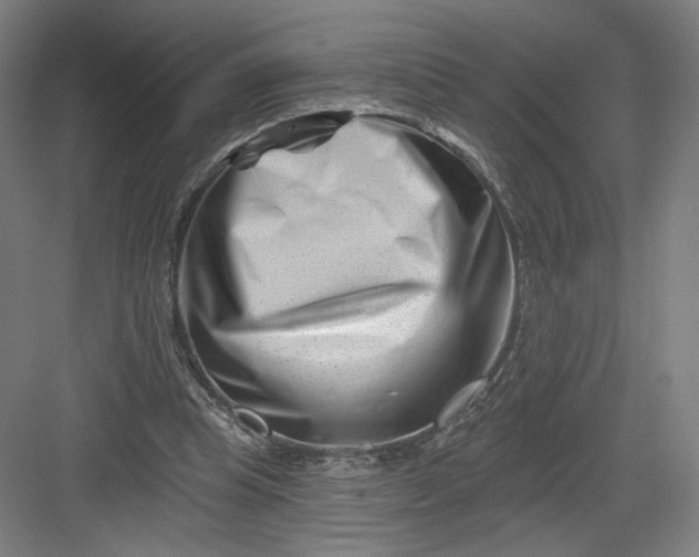 X0000082960345200702152312