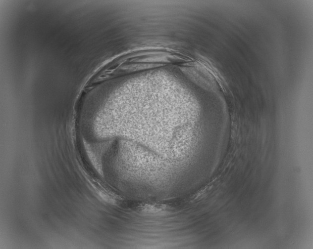 X0000082960346200702152312