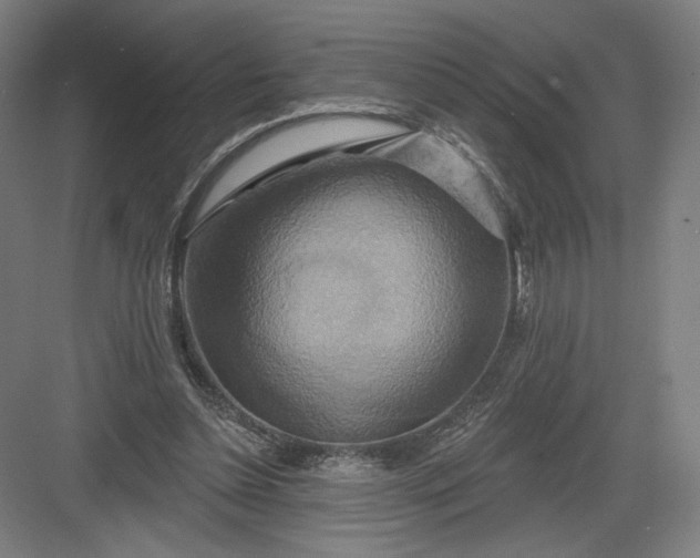 X0000082960348200702152312