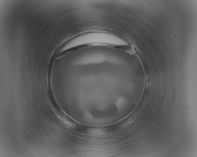 X0000082960349200702152312