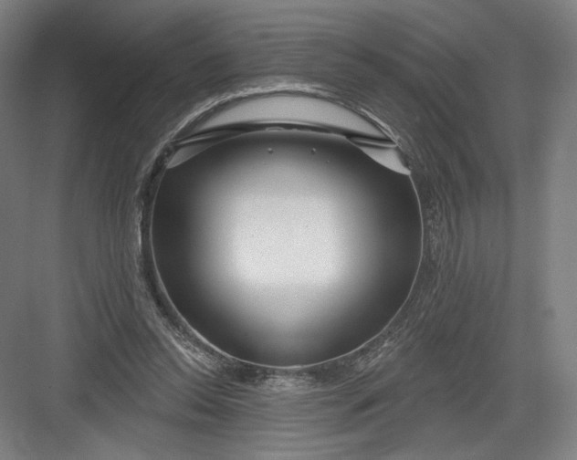 X0000082960350200702152312