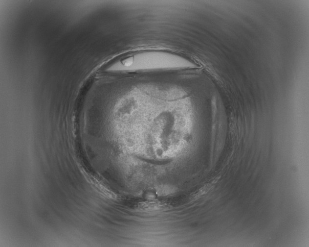 X0000082960351200702152312