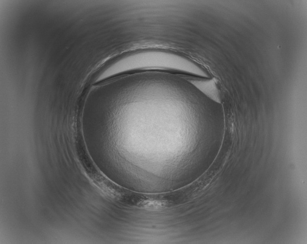 X0000082960352200702152312