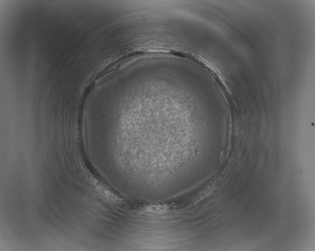 X0000082960353200702152312