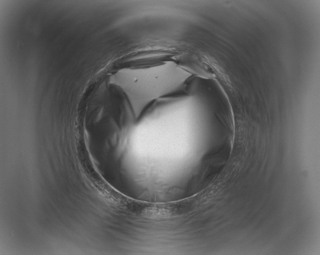 X0000082960354200702152312