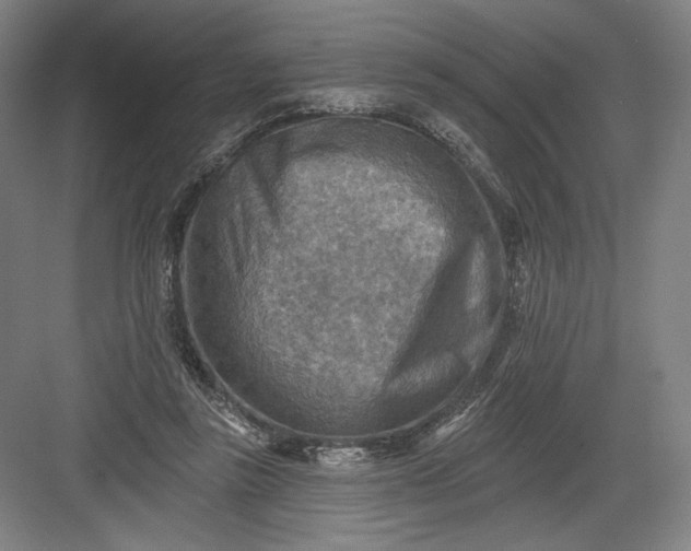 X0000082960355200702152312