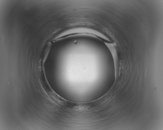 X0000082960356200702152312