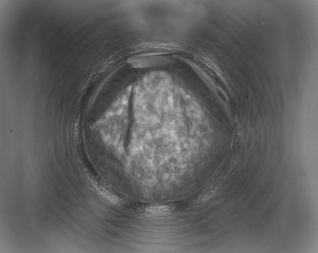 X0000082960357200702152312