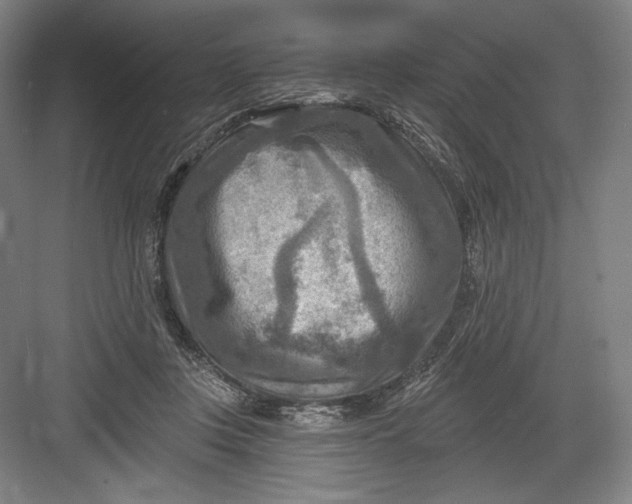 X0000082960359200702152312