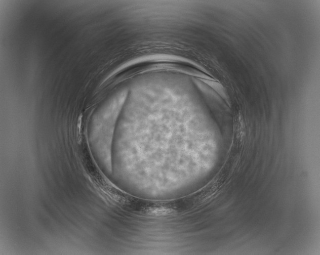 X0000082960360200702152312