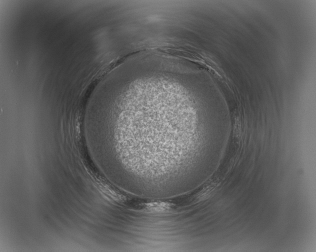 X0000082960363200702152312