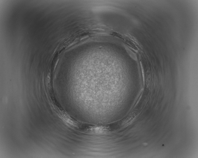 X0000082960365200702152312