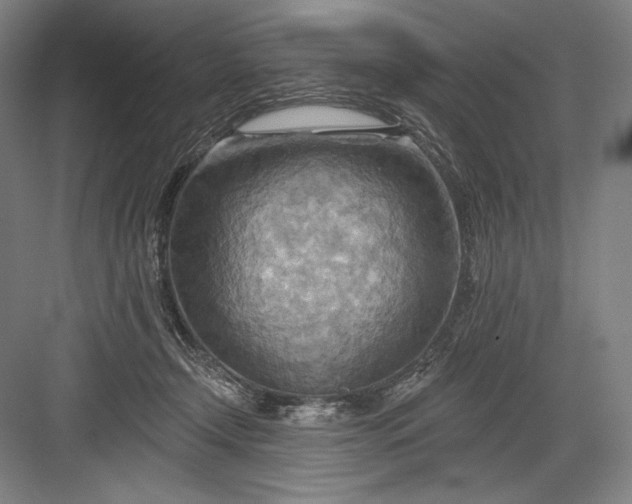 X0000082960366200702152312