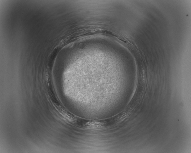 X0000082960367200702152312