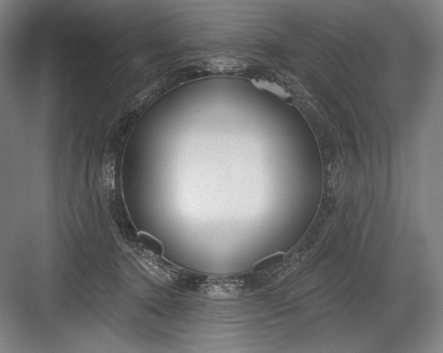 X0000082960368200702152312