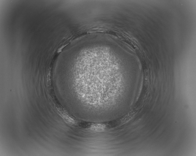 X0000082960369200702152312