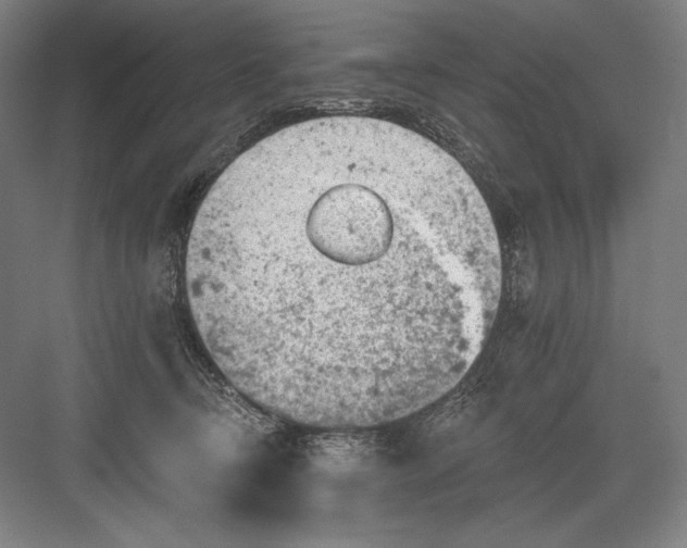 X0000082960370200702152312