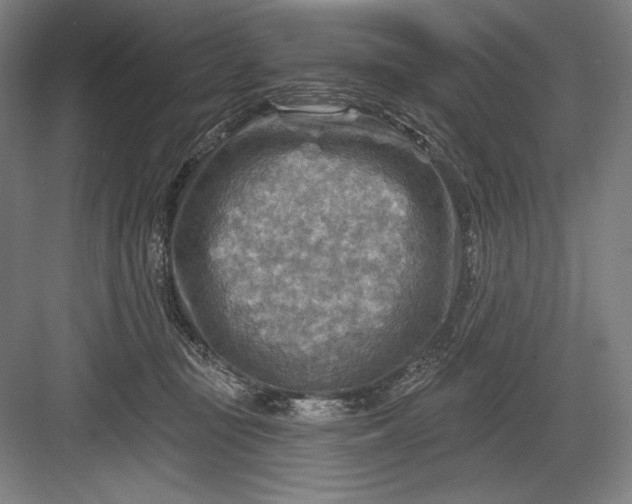 X0000082960371200702152312