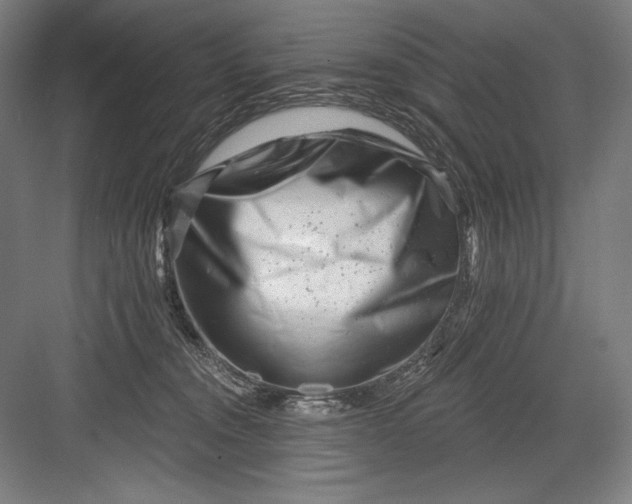 X0000082960372200702152312