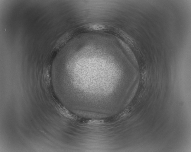 X0000082960373200702152312