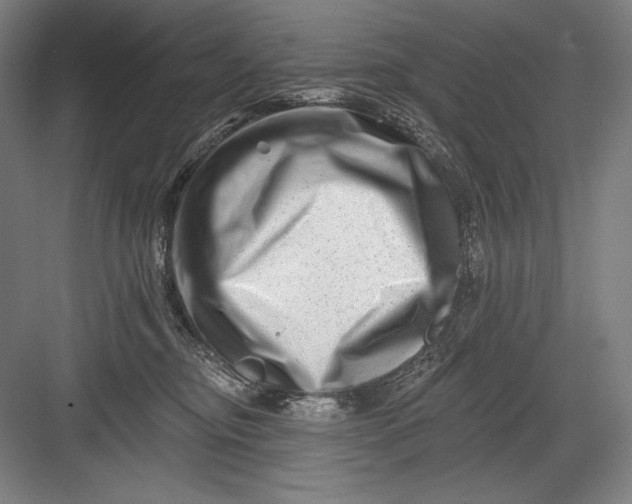 X0000082960374200702152312