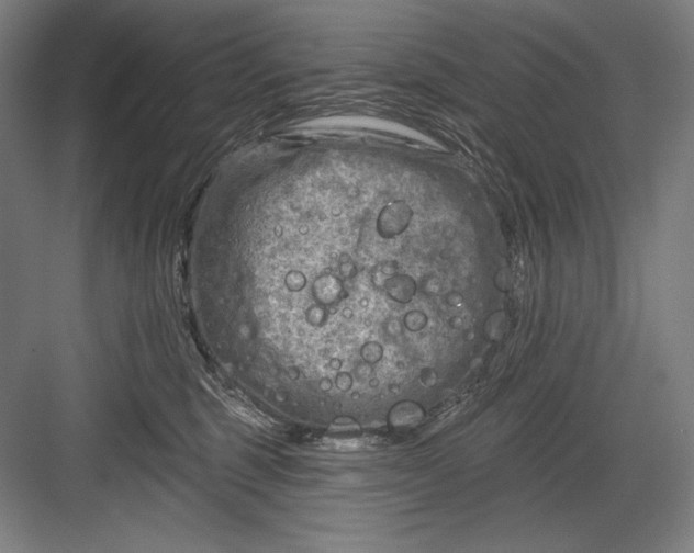 X0000082960375200702152312