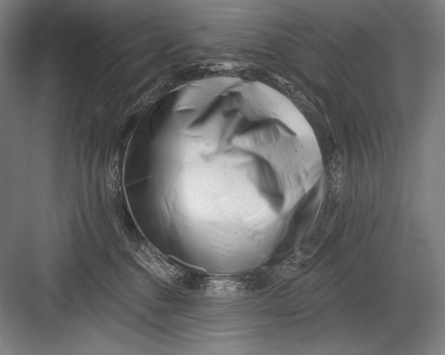 X0000082960376200702152312