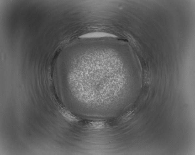 X0000082960377200702152312