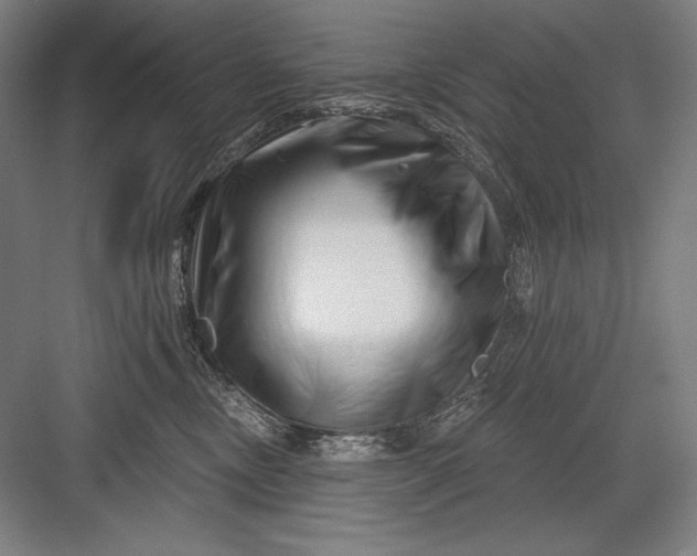 X0000082960378200702152312