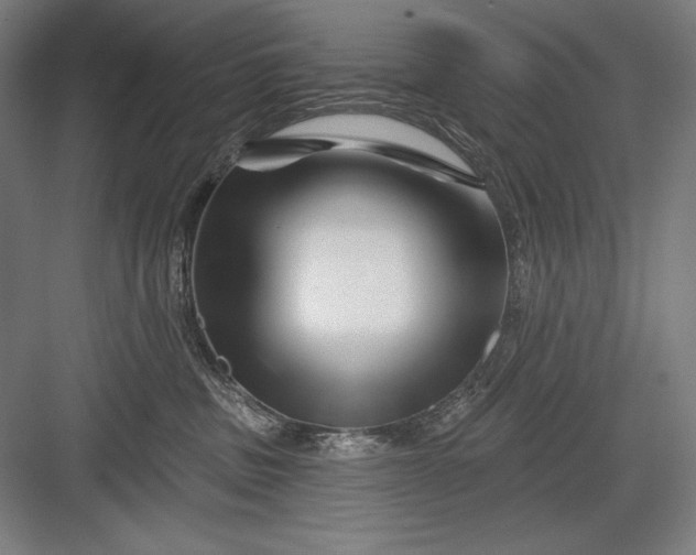 X0000082960379200702152312