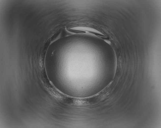 X0000082960380200702152312