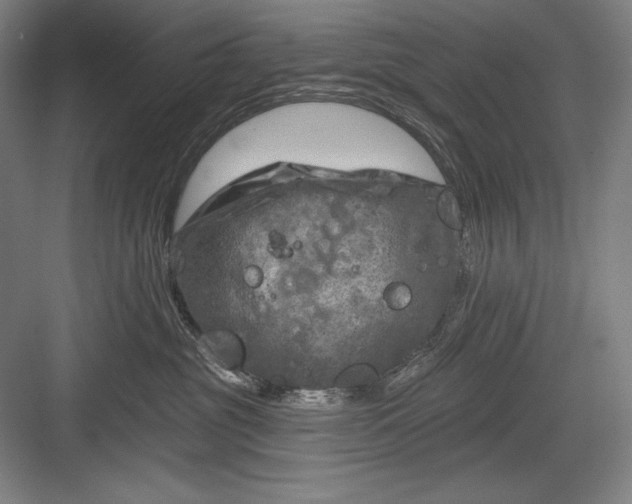 X0000082960381200702152312