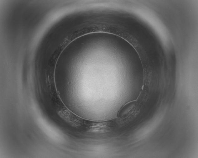 X0000082960382200702152312