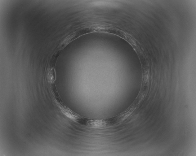 X0000082960383200702152312