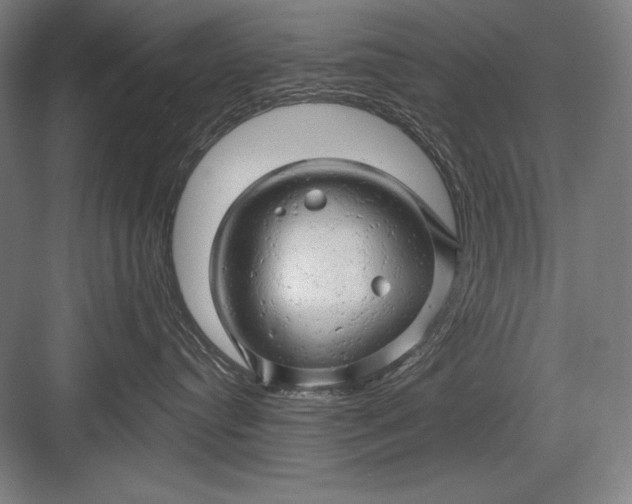 X0000082960384200702152312