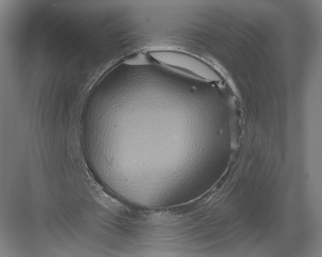 X0000082960385200702152311