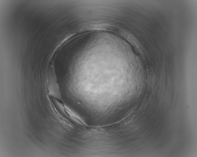 X0000082960386200702152311