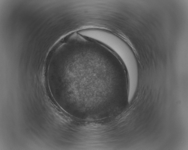 X0000082960387200702152311